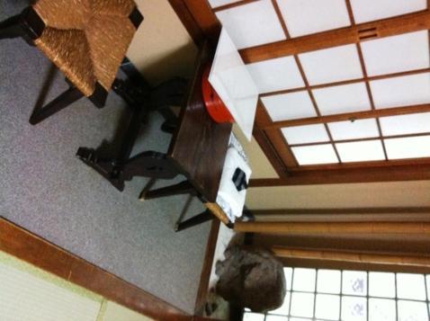 Ryokan Kyoka Kyoto Luaran gambar
